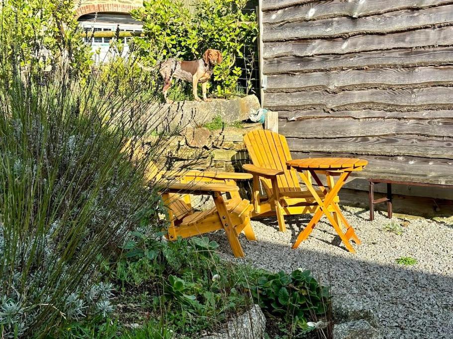 Mawnan Smith Little Bream - Pretty Cosy Cottage, Sea Views, Walk To The Beach מראה חיצוני תמונה